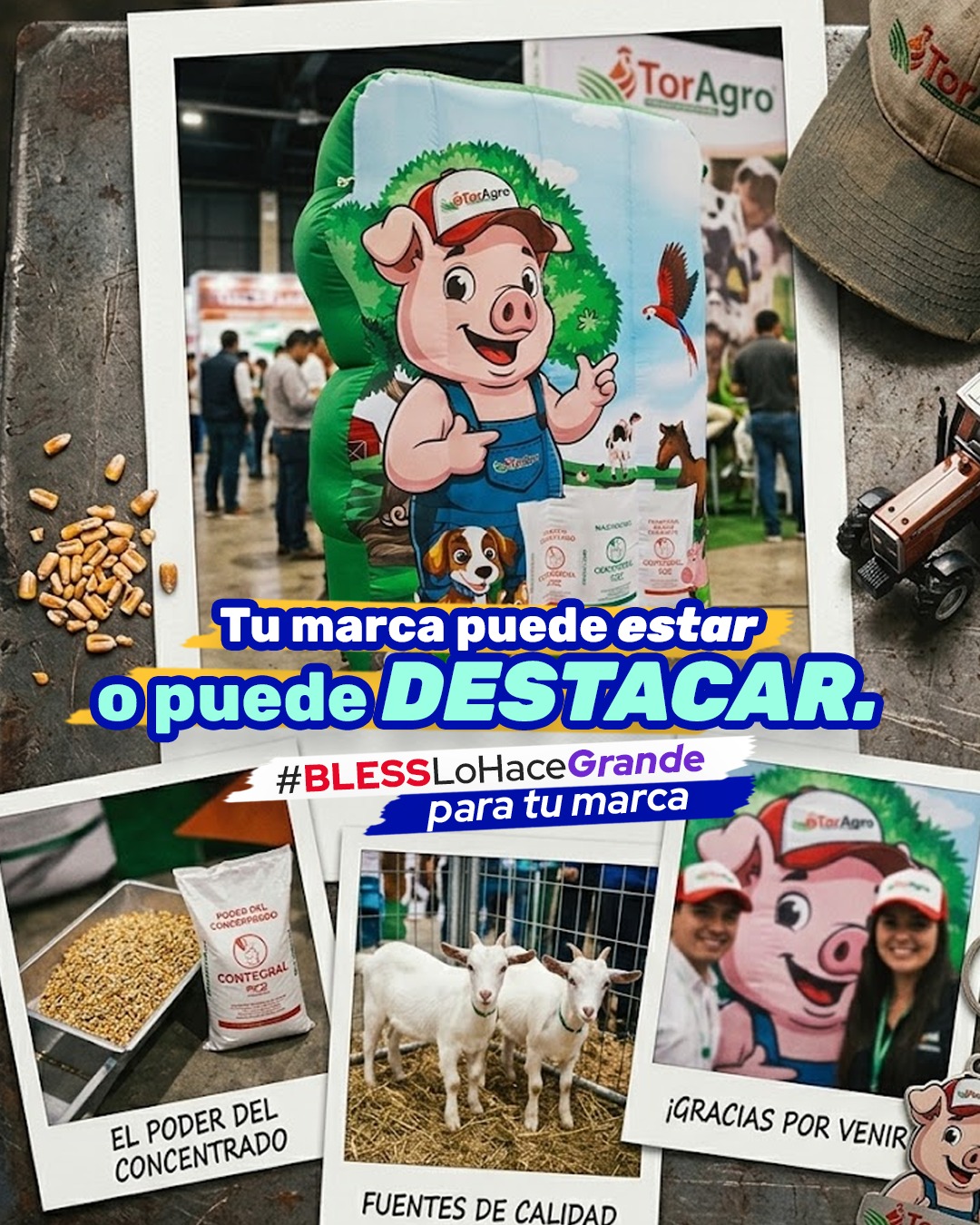 Activación BTL con inflables Bless
